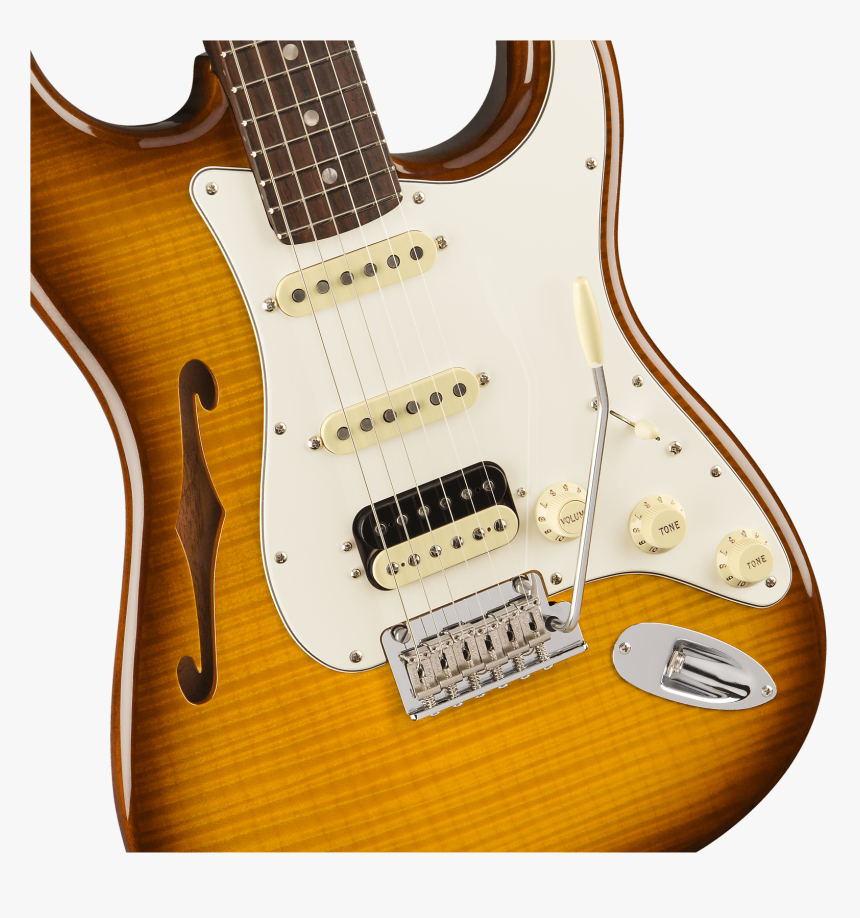 Fender Rarities Stratocaster Thinline Hss, Solid Rosewood, HD Png Download, Free Download