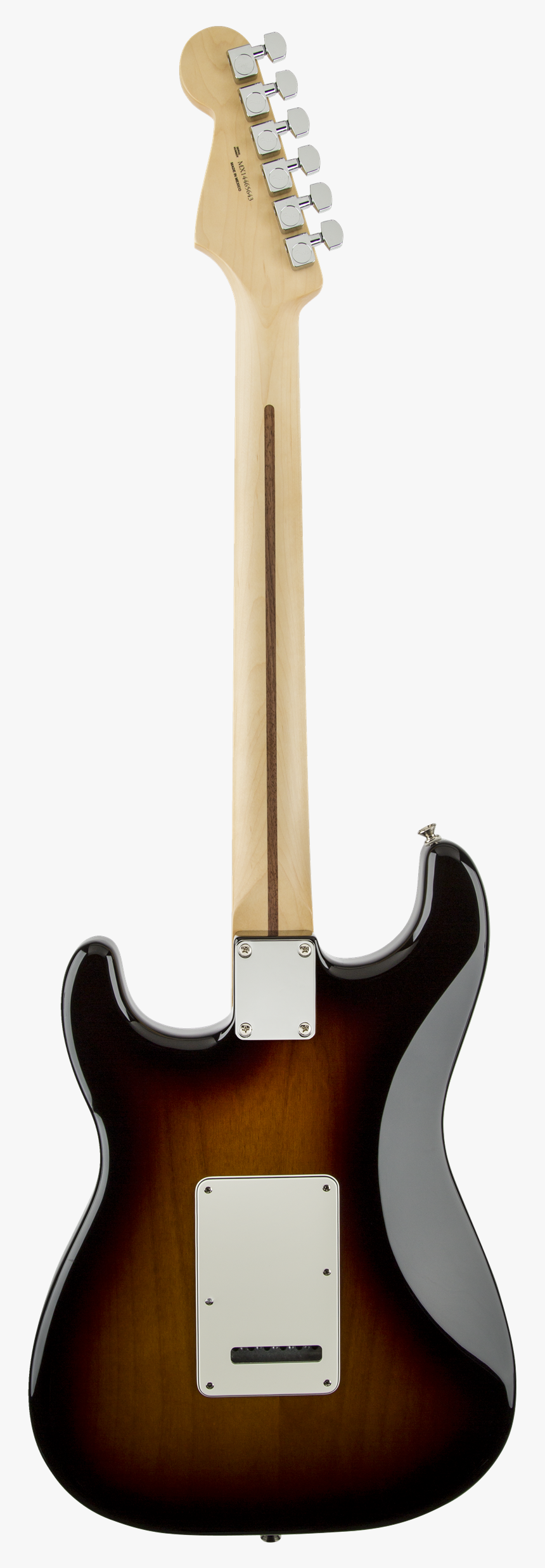 Fender Standard Stratocaster Brown Back, HD Png Download, Free Download