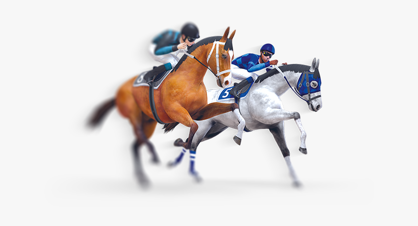 Race Horse Png, Transparent Png, Free Download