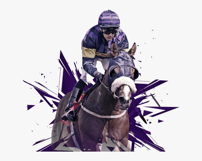 Race Horse Png, Transparent Png, Free Download