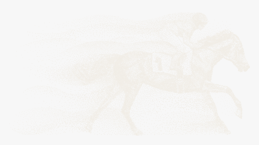 Race Horse Png, Transparent Png, Free Download