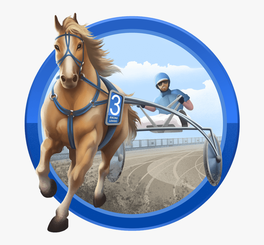 Race Horse Png, Transparent Png, Free Download