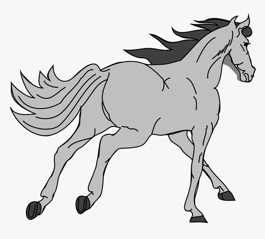 Race Horse Png, Transparent Png, Free Download