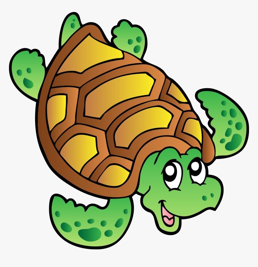 Turtle Cartoon Png, Transparent Png, Free Download