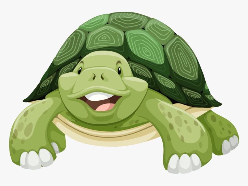 Transparent Turtle Cartoon Png, Png Download, Free Download