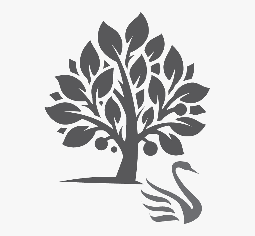 Tree And Swan, HD Png Download, Free Download