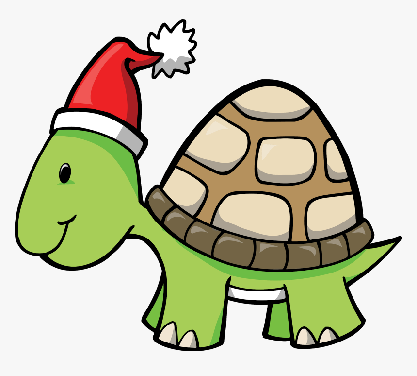 Turtle Cartoon Png, Transparent Png, Free Download