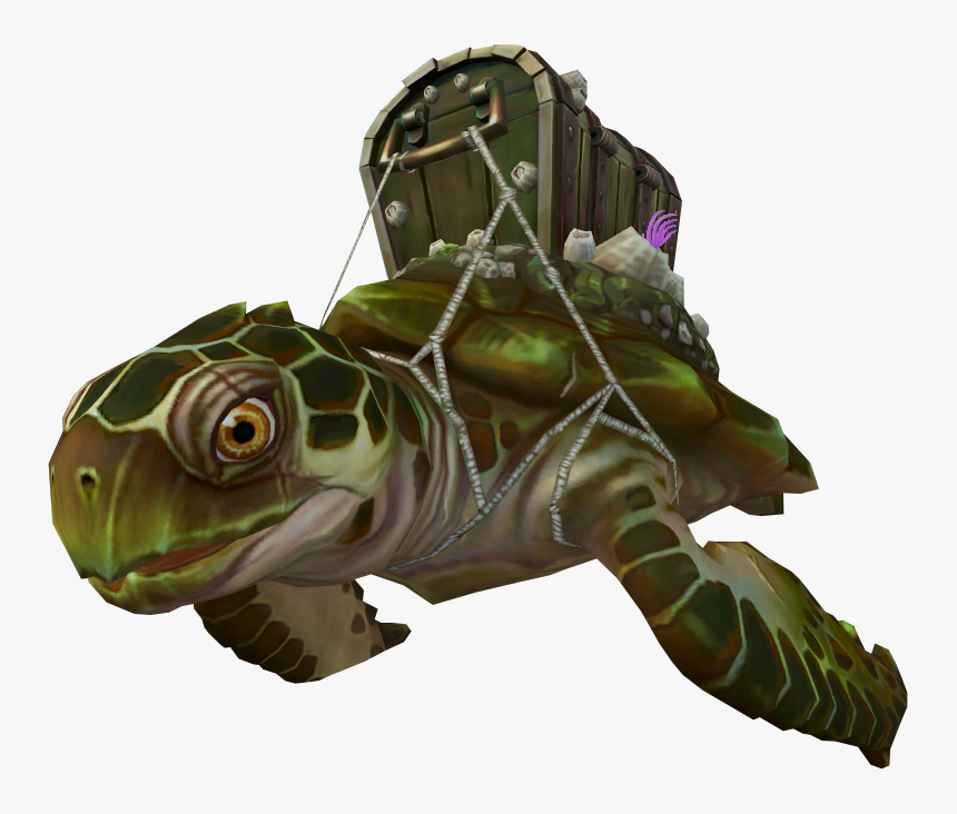 Turtle Cartoon Png, Transparent Png, Free Download