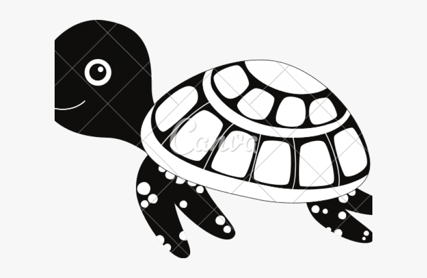 Cartoon Clipart Turtle Animated Png, Transparent Png, Free Download