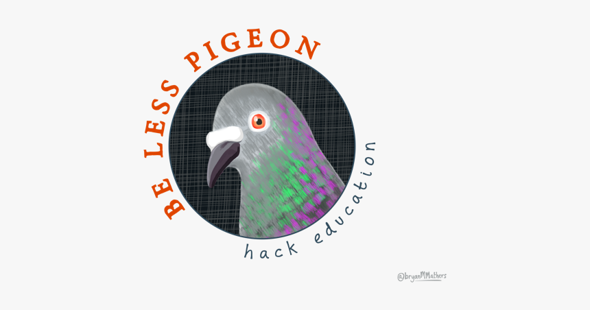 Pigeons Png, Transparent Png, Free Download