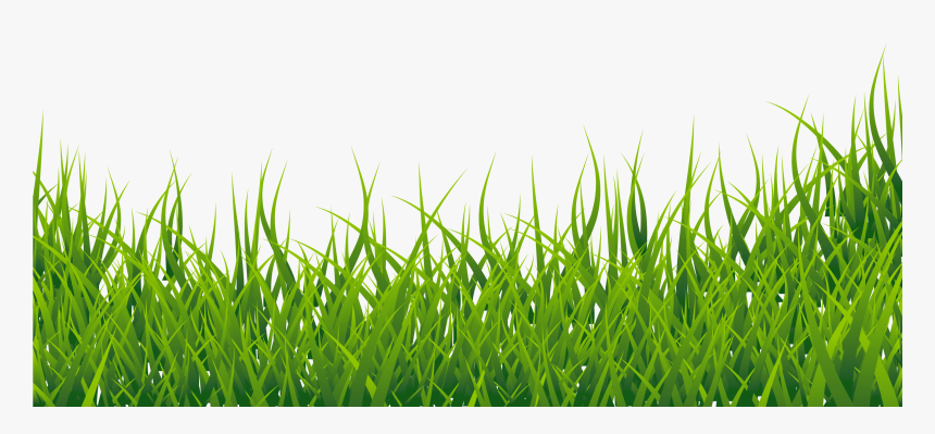 Grass Clipart, HD Png Download, Free Download