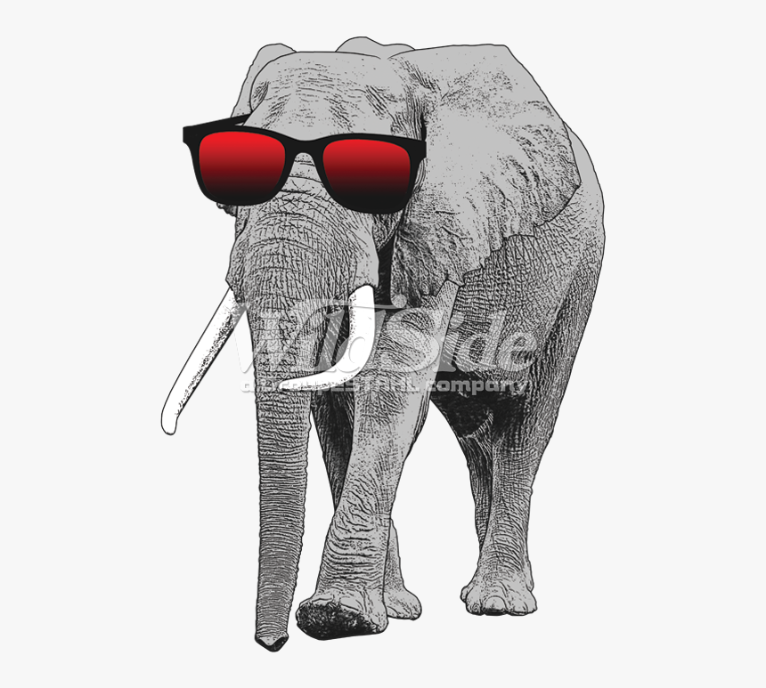 Elephant With Sun Glasses, HD Png Download, Free Download