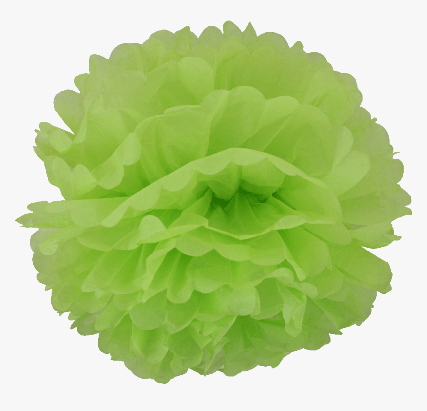 Pom Poms Png, Transparent Png, Free Download