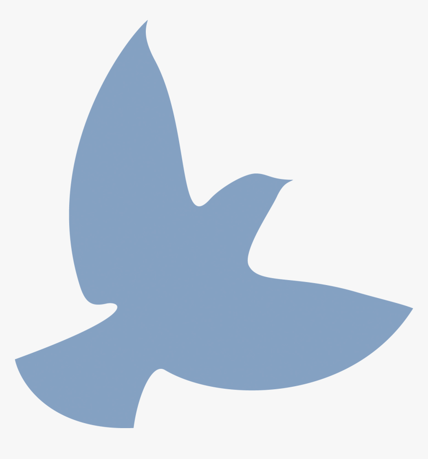 Dove Png Images, Transparent Png, Free Download