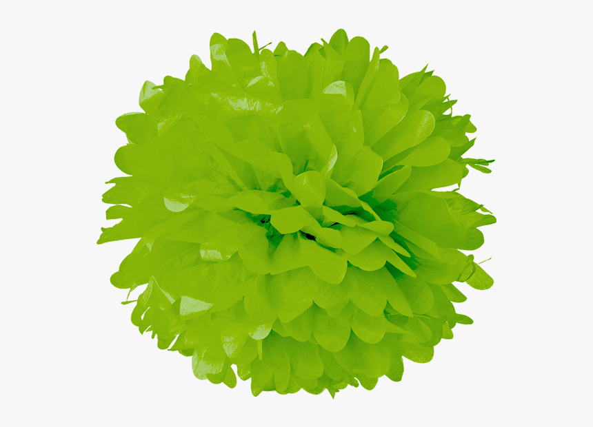 Green Apple Tissue Pom Poms, HD Png Download, Free Download