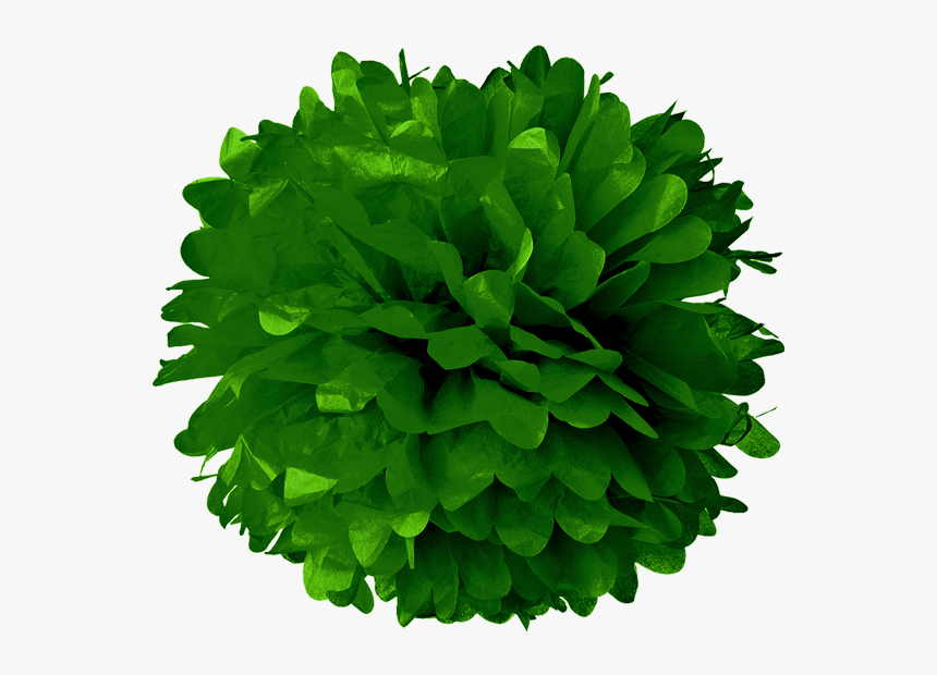 Dark Green Tissue Pom Poms, HD Png Download, Free Download