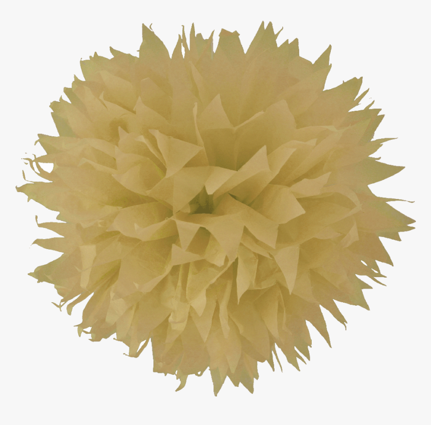 Pom Poms Png, Transparent Png, Free Download