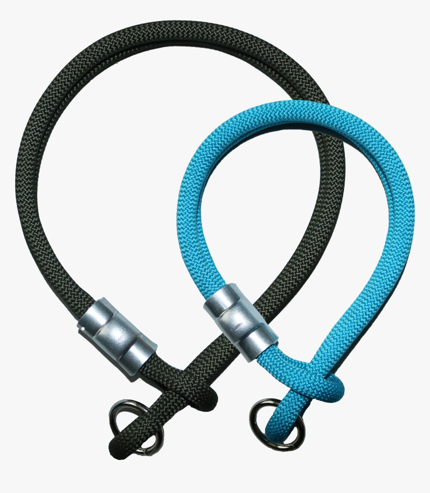 Dog Leash Png, Transparent Png, Free Download