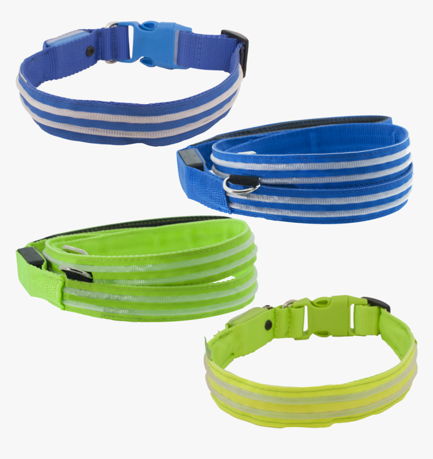 Dog Leash Png, Transparent Png, Free Download