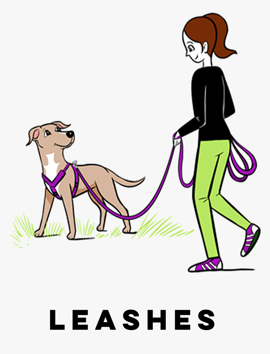 Dog Leash Png, Transparent Png, Free Download
