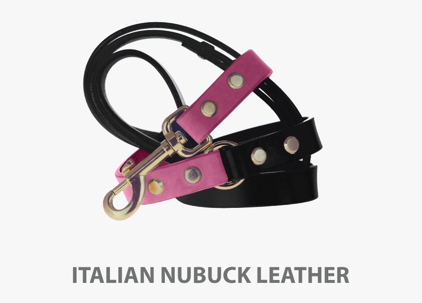 Dog Leash Png, Transparent Png, Free Download