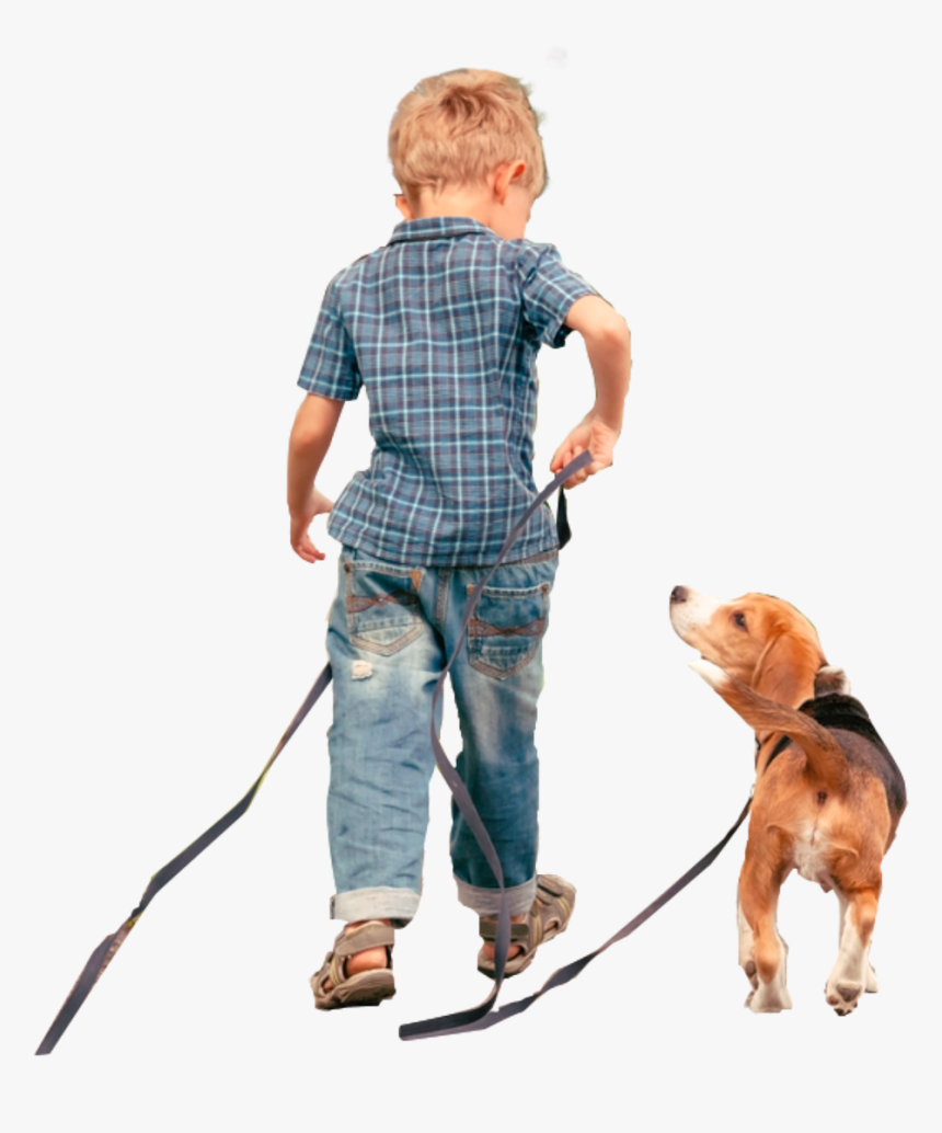 #littleboy #dog #leash #freetoedit, HD Png Download, Free Download