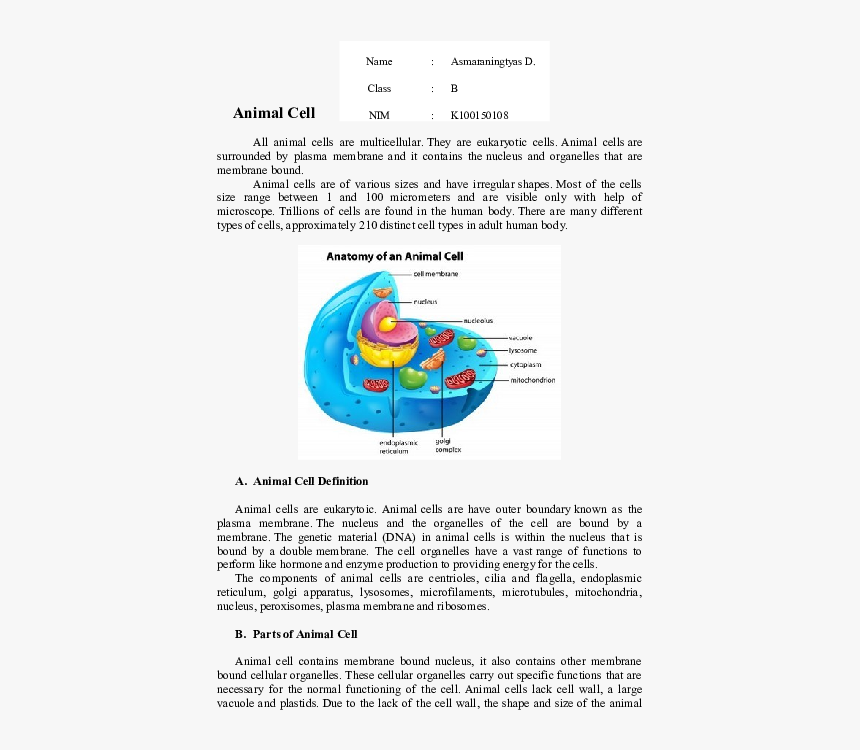 Animal Cell Png, Transparent Png, Free Download