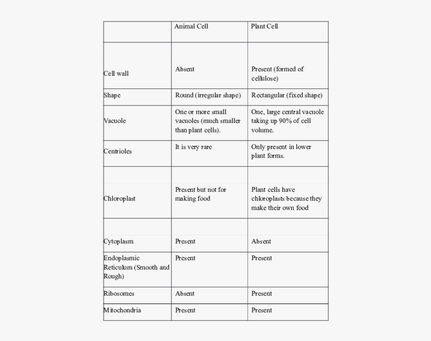 Animal Cell Png, Transparent Png, Free Download
