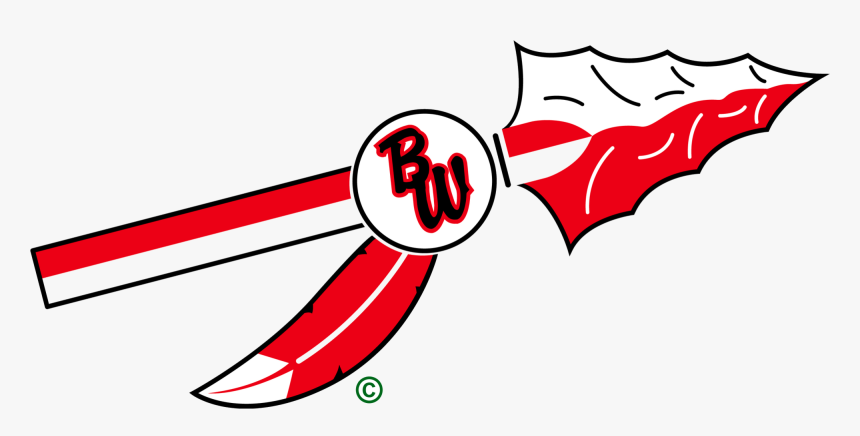 Blackhawks Png, Transparent Png, Free Download
