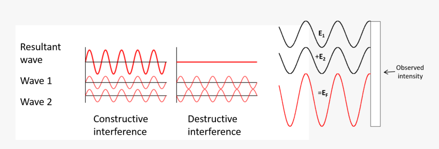 Interference Of Light, HD Png Download, Free Download