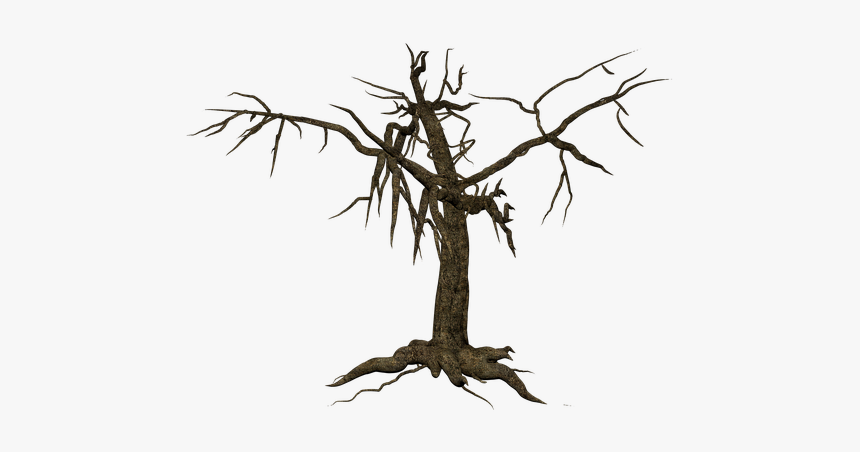 Tree, Isolated, Leafless, Mystical, Old, HD Png Download, Free Download