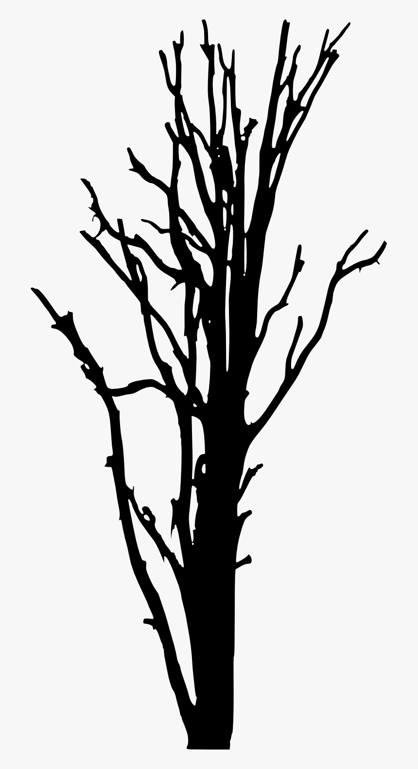 Woody Plant Tree Silhouette Clip Art, HD Png Download, Free Download