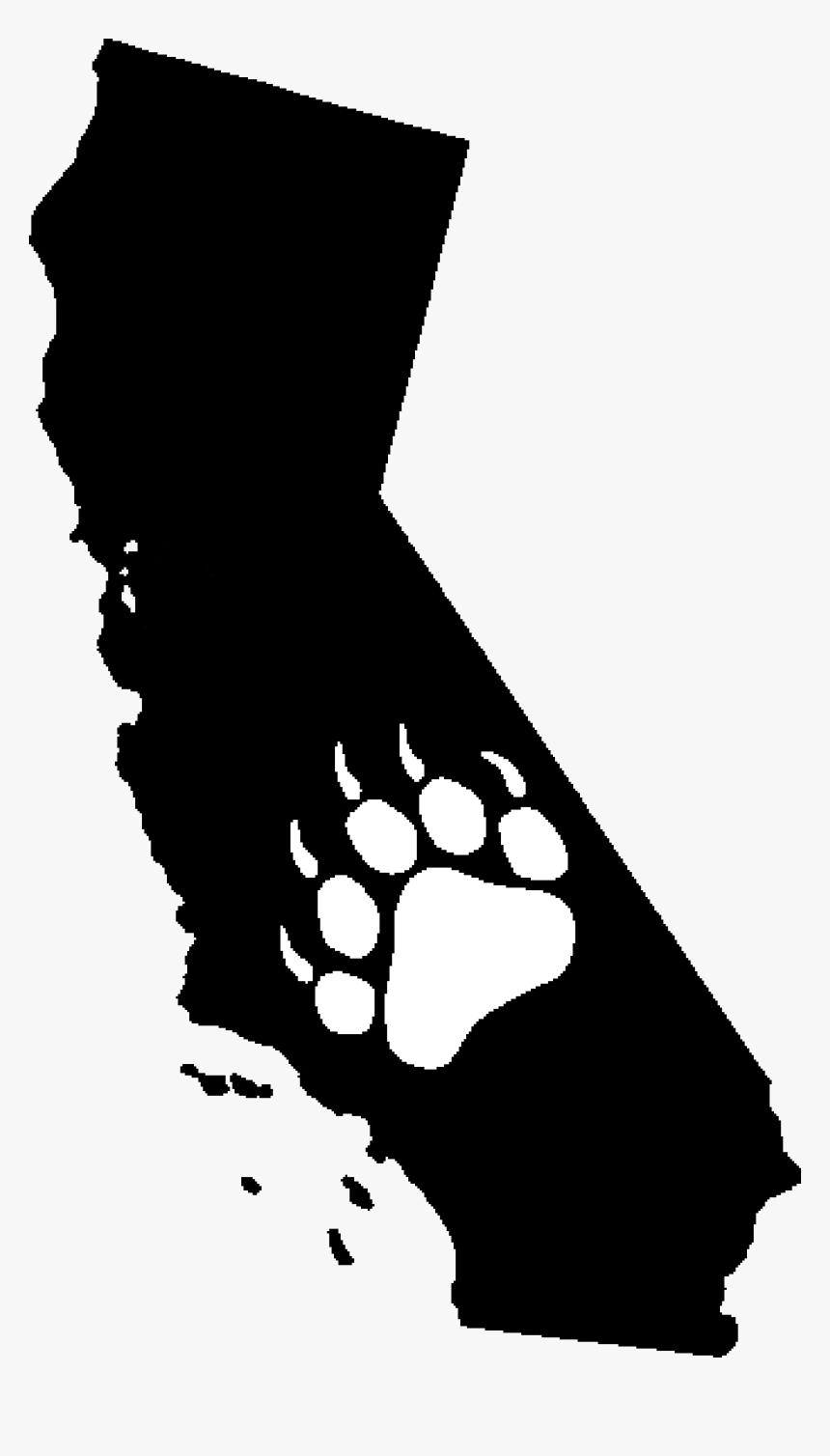 Los Angeles American Black Bear California Grizzly, HD Png Download, Free Download