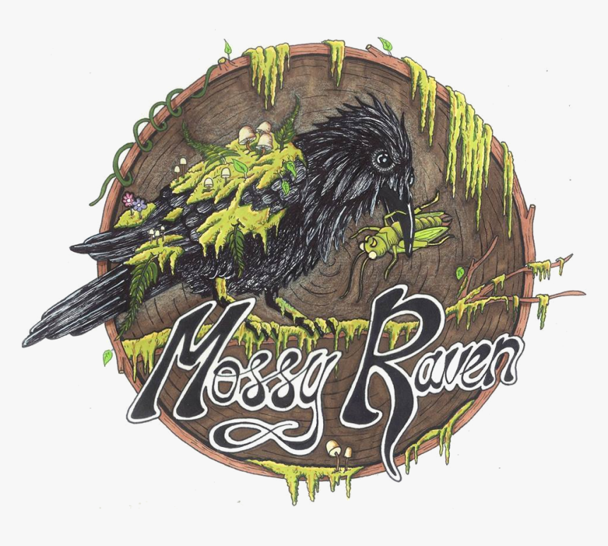 Raven Feather Png, Transparent Png, Free Download