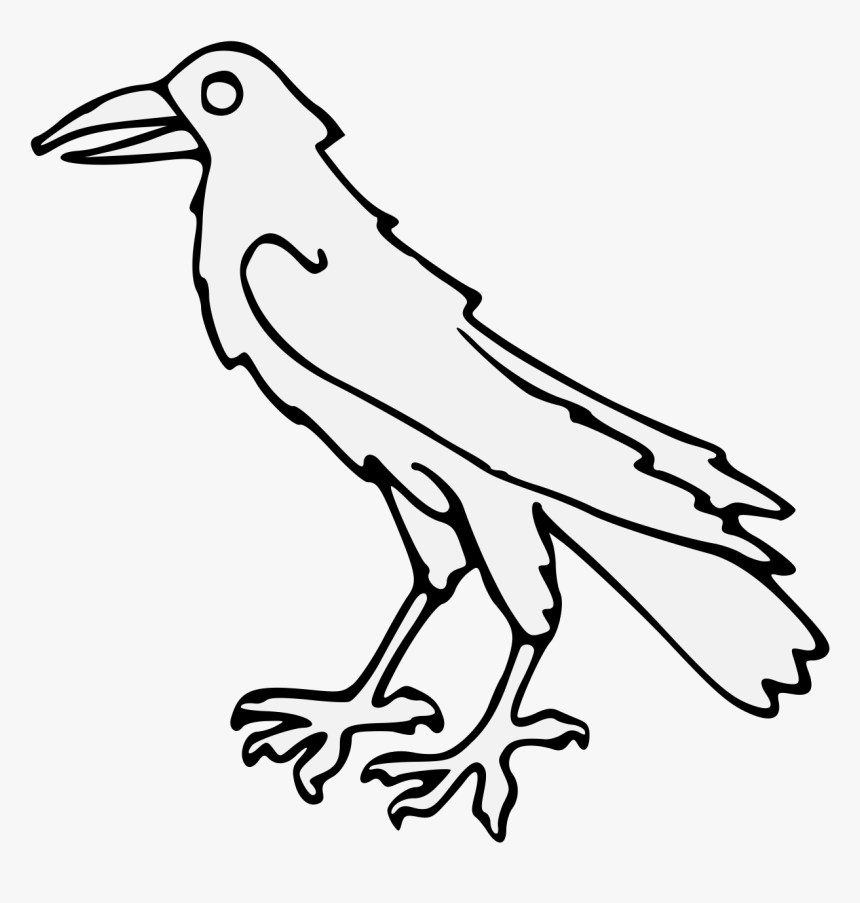 Raven Feather Png, Transparent Png, Free Download