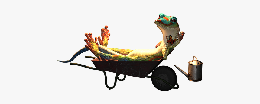 Gecko, Animal, Garden, Lazy, Laziness, Wheelbarrow, HD Png Download, Free Download