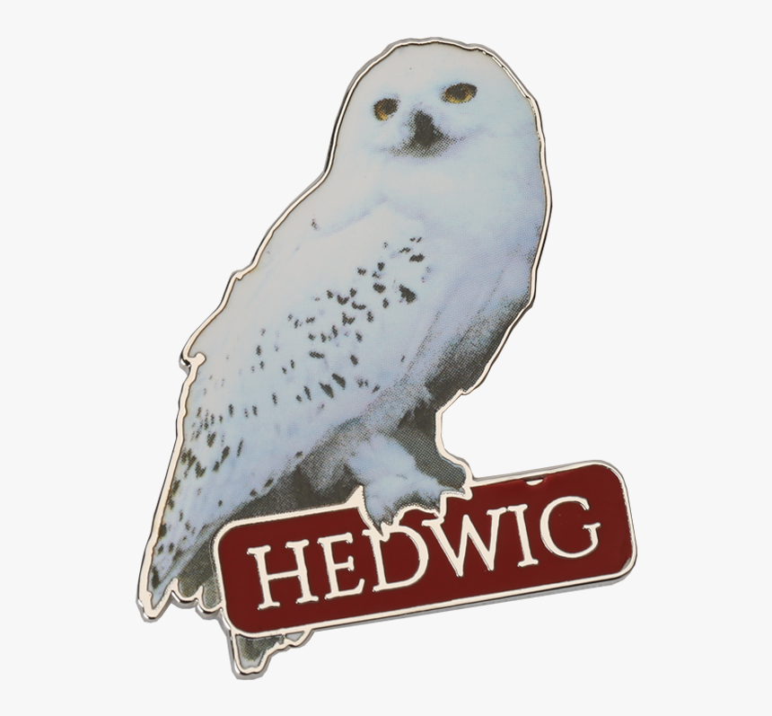 Hedwig Png, Transparent Png, Free Download