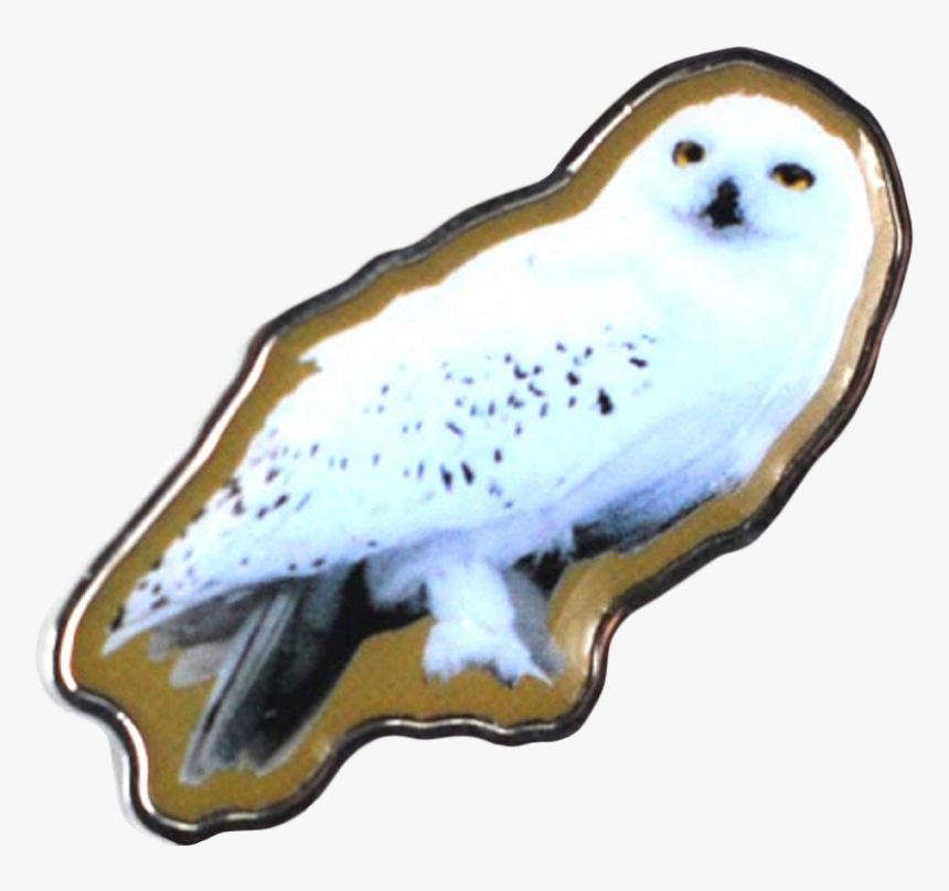 Hedwig Harry Potter, HD Png Download, Free Download