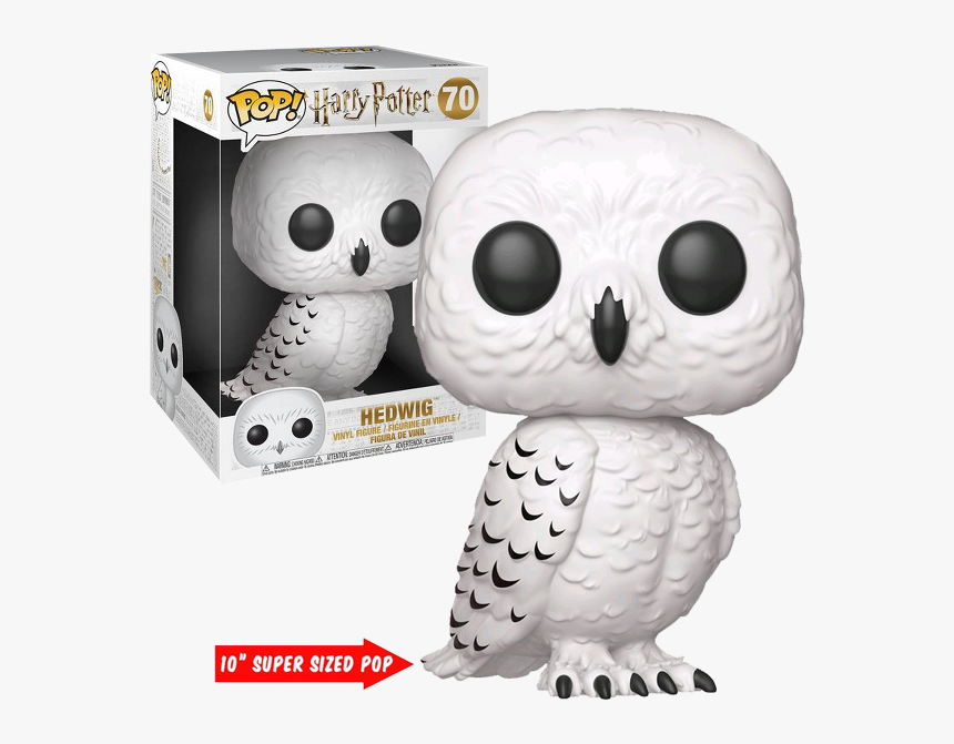 Hedwig Png, Transparent Png, Free Download