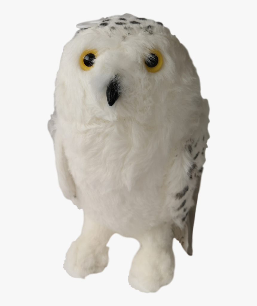 Hedwig Png, Transparent Png, Free Download