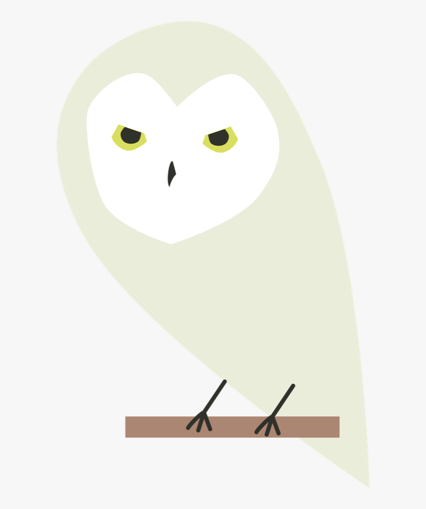 Hedwig Png, Transparent Png, Free Download