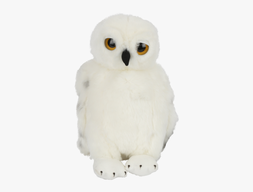 Hedwig Png, Transparent Png, Free Download