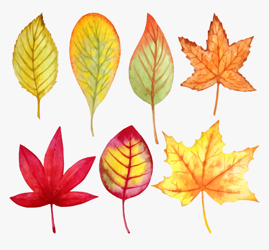 Leaf Painting Autumn Transprent, HD Png Download, Free Download