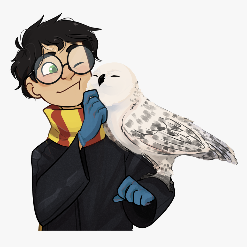 Hedwig Png, Transparent Png, Free Download