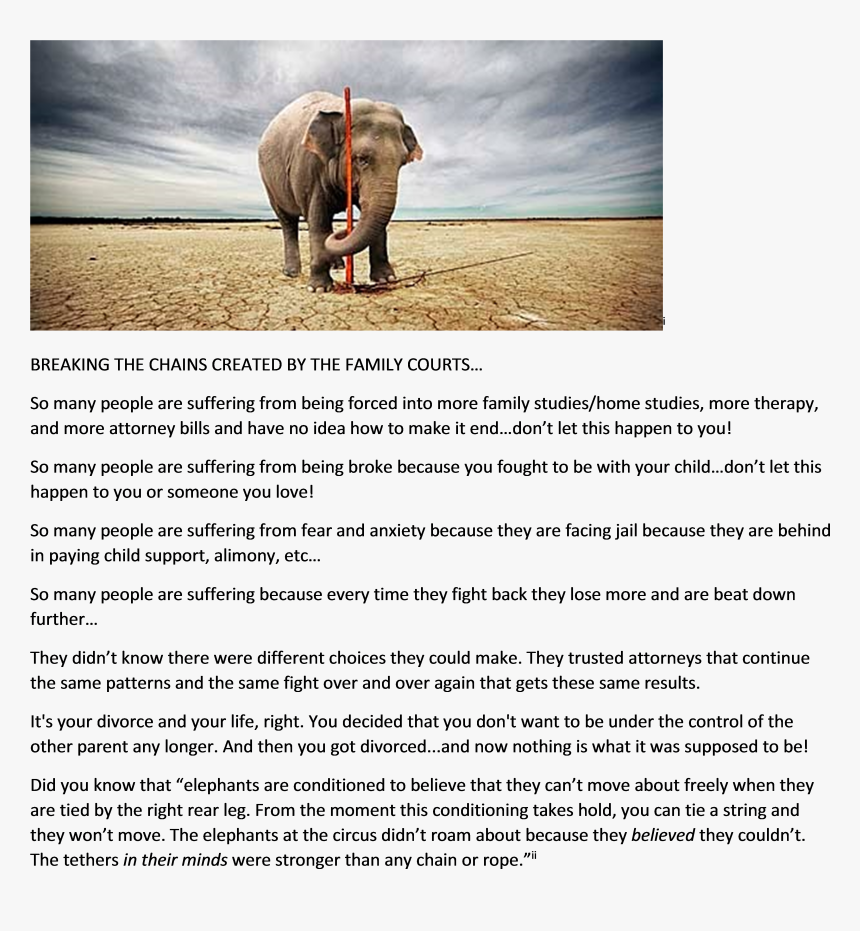 Breaking Free Of Family Court Chains Elephant, HD Png Download, Free Download
