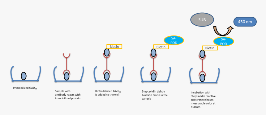 Png Text 2016, Transparent Png, Free Download