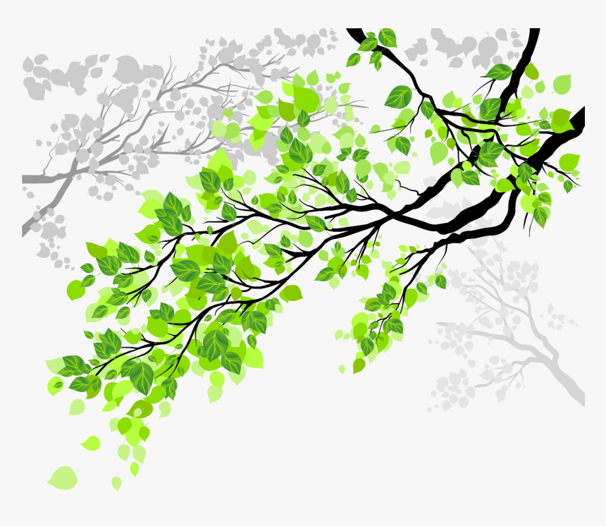 Transparent Tree Branch With Leaves Clipart, HD Png Download, Free Download