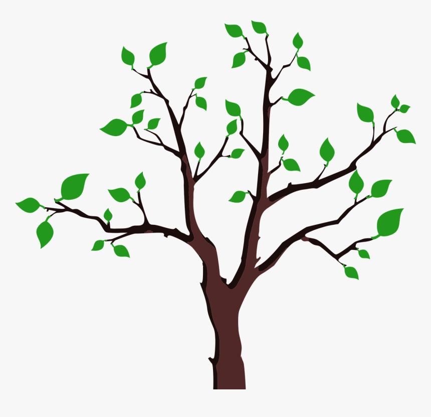 Tree Branches With Leaves Png, Transparent Png, Free Download