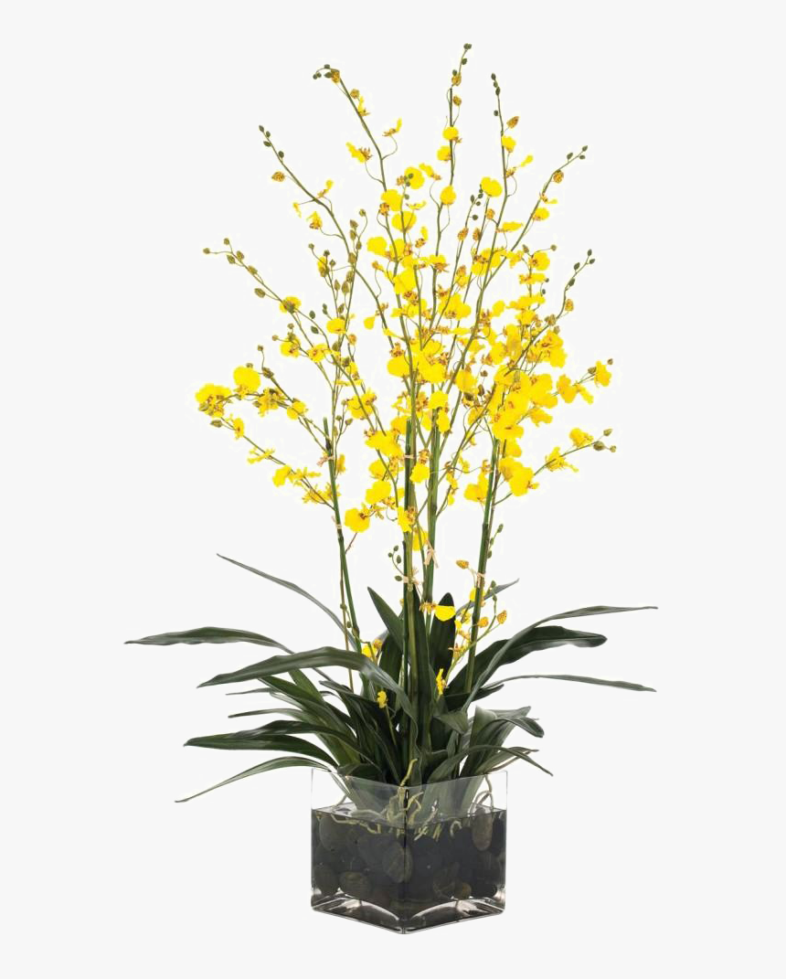 Flower Vase Png Transparent Picture, Png Download, Free Download