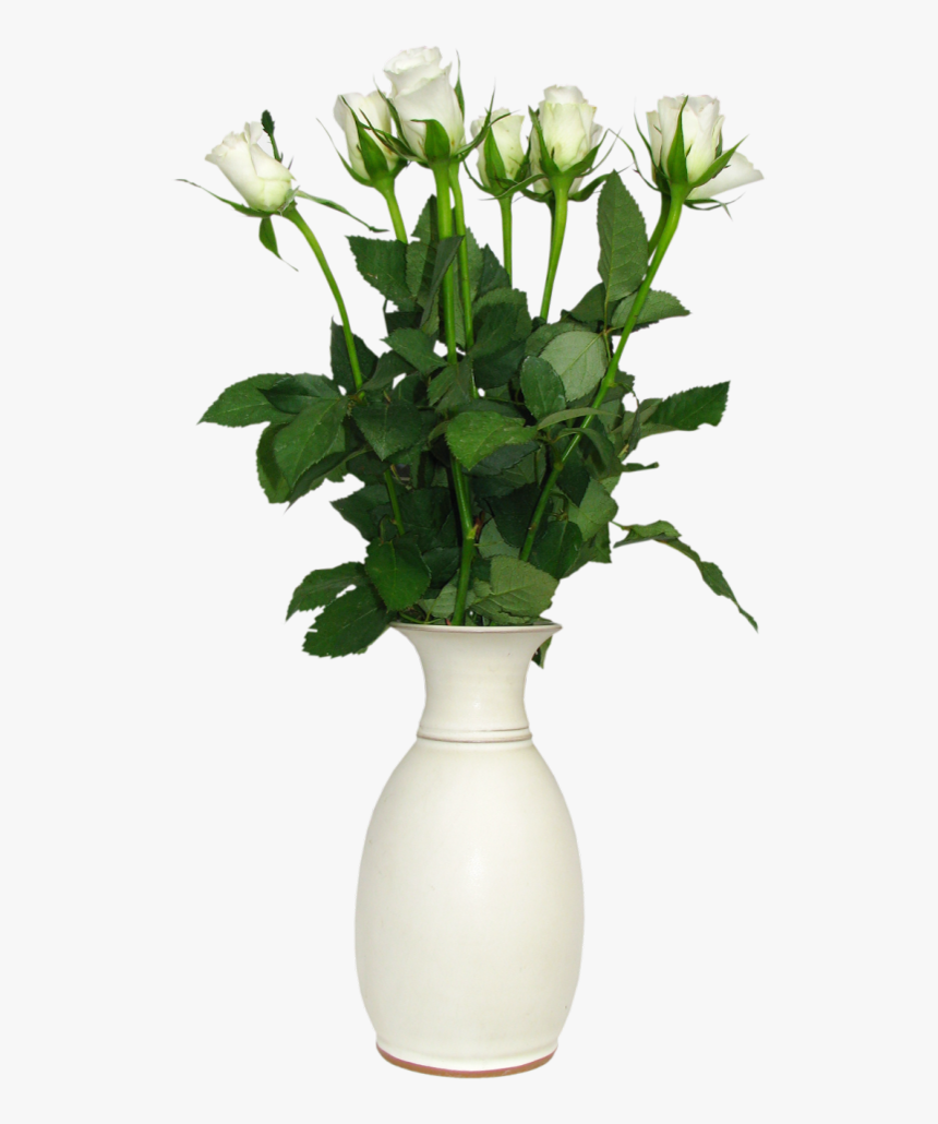 Transparent Flower Vase Png , Png Download, Png Download, Free Download